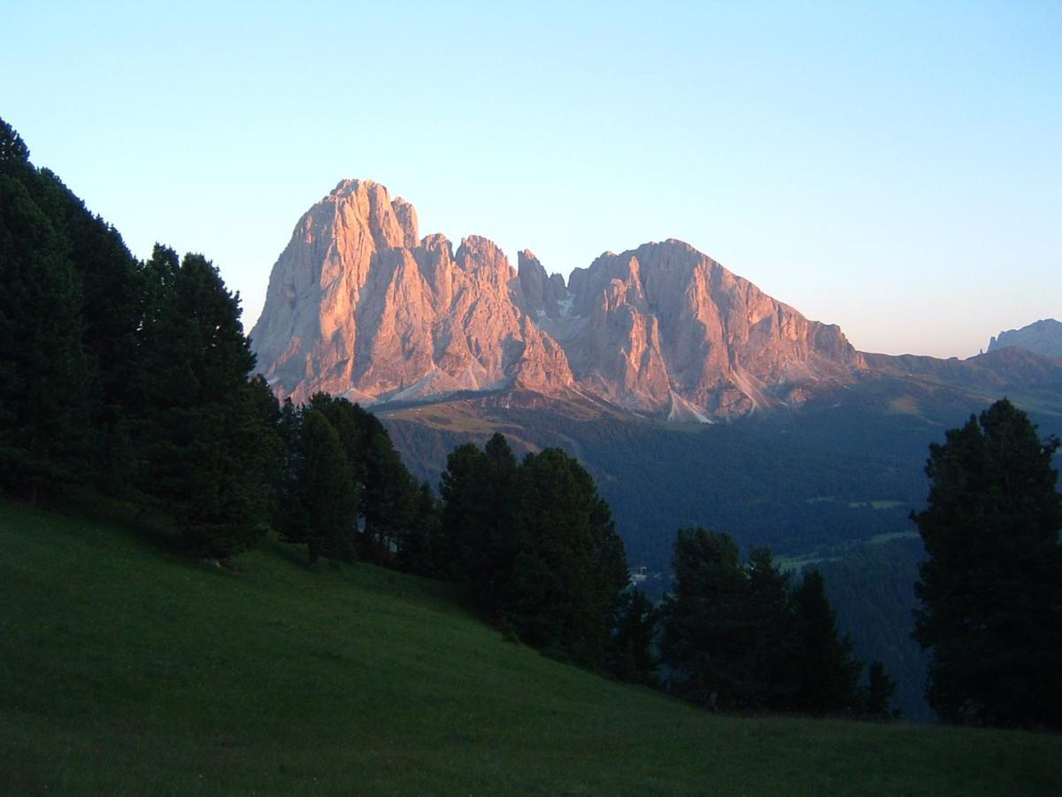 Appartamento Dolomiti Selva di Val Gardena Exteriér fotografie