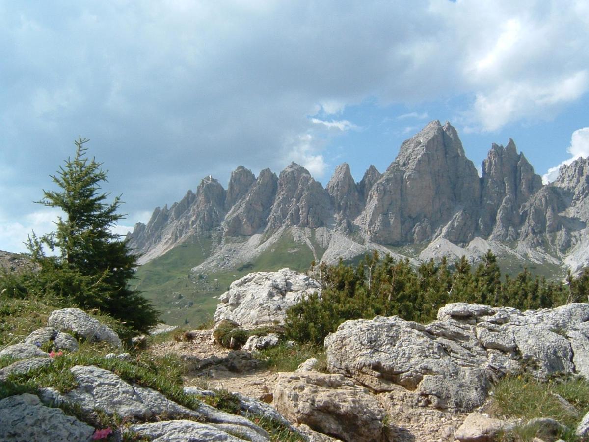 Appartamento Dolomiti Selva di Val Gardena Exteriér fotografie